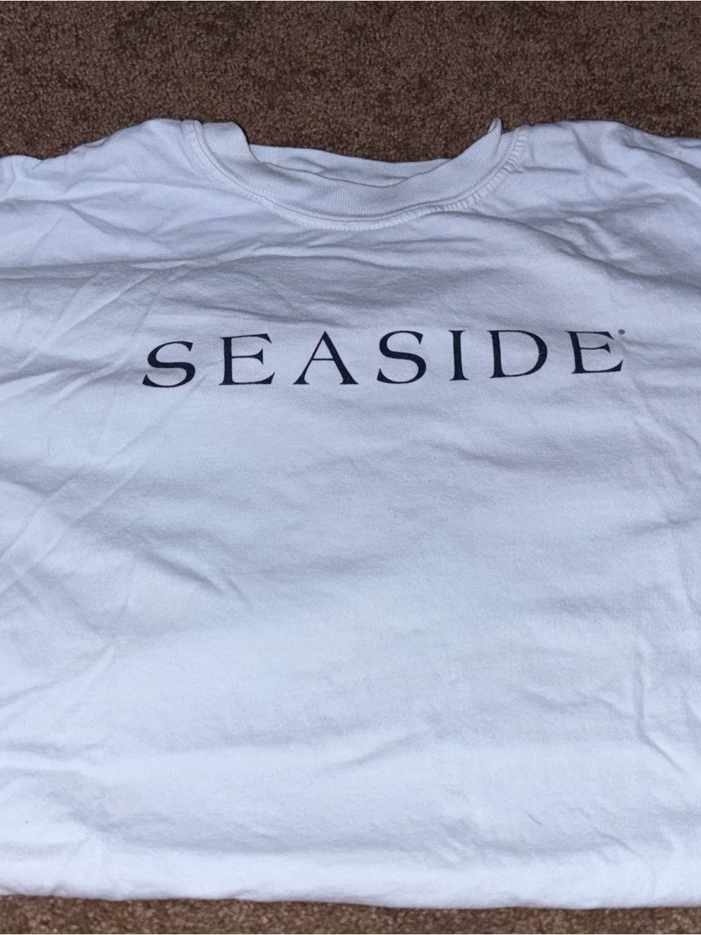SEASIDE Blue tee w Black Logo